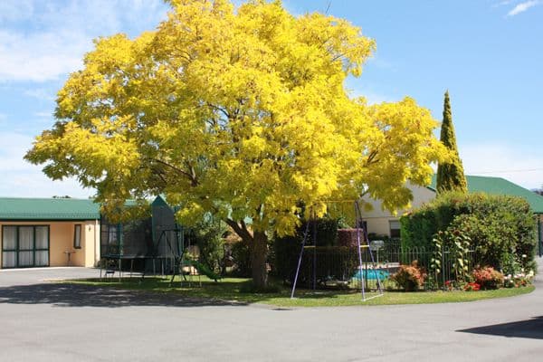 Pool and Gardens.JPG