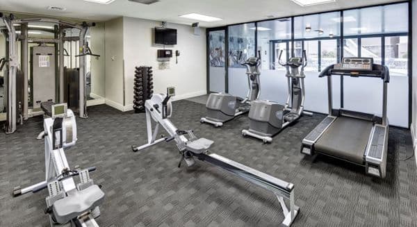Gym.jpg