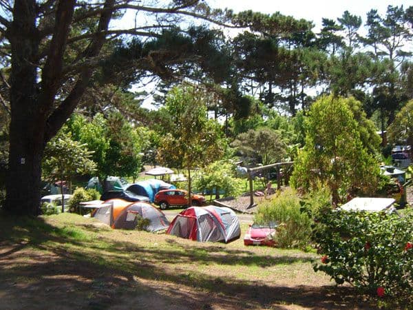 Ahipara Top 10 Holiday Park