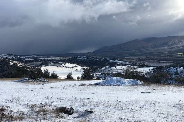 Matagouri Lodge B&B