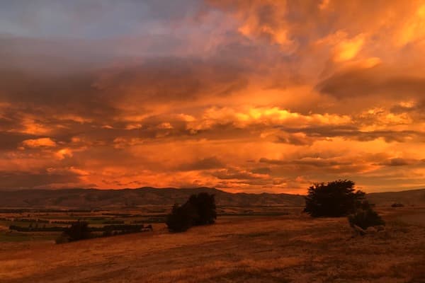 Matagouri Lodge B&B