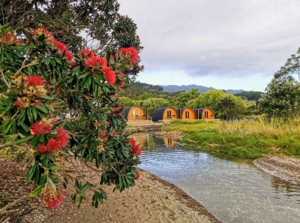 Coromandel Shelly Beach TOP 10 Holiday